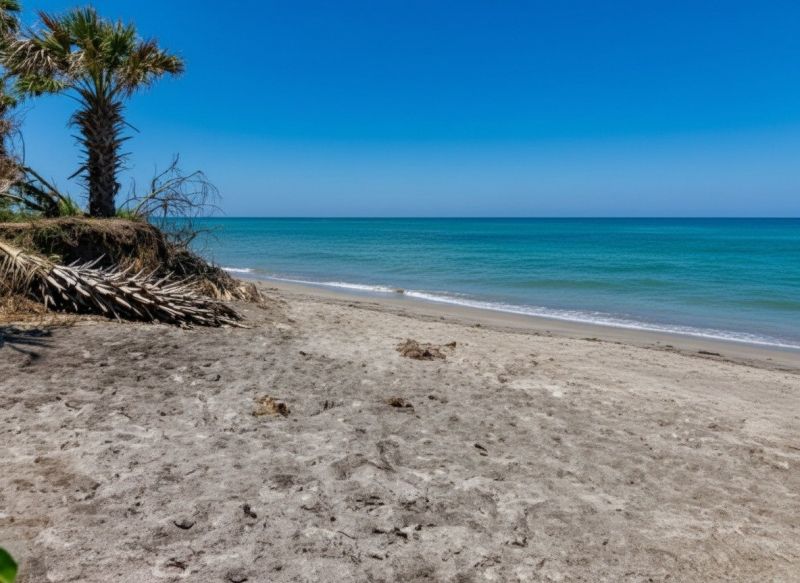 Best Siding Repair pros in Jacksonville Beach, FL