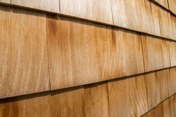Cost of Cedar Siding Replacement in Orange Park