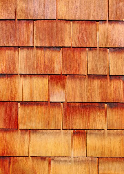 Cost of Wood Siding Replacement in Orange Park