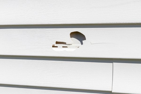 Cost of White Vinyl Siding Repair in Orange Park